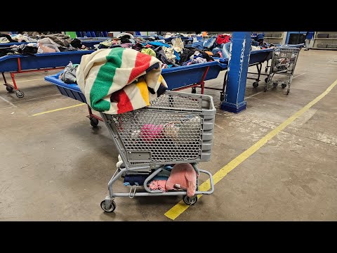 I was having cart envy 😭 at the Goodwill Outlet Bins today