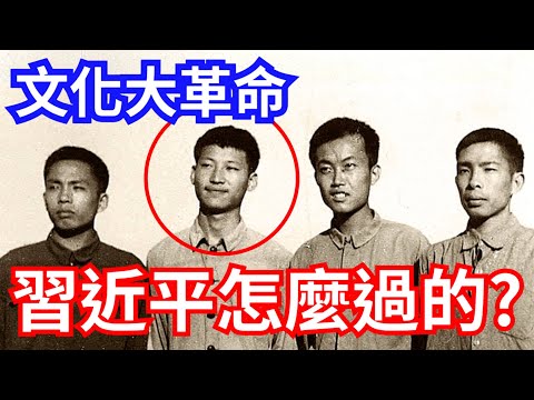 文化大革命，習近平是怎麼過的?