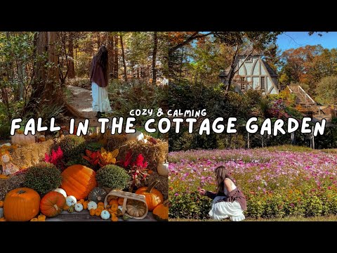 🍂🧺 October Day in the Cottage Garden🍁 Countryside, Slow Living, Cozy Cottage, Cottagecore, Fall Vlog