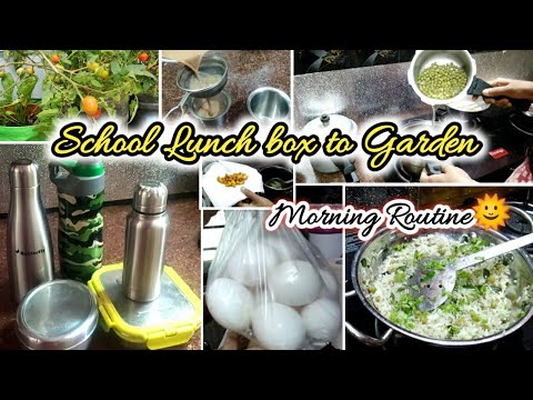 Early morning routine works🍱School lunch box to garden 🌱vlog 1