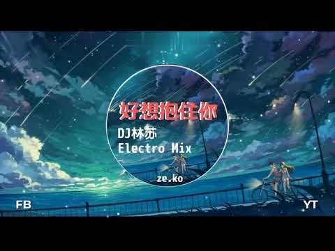 好想抱住你 DJ 林苏（Electro Mix）『想你的时候好想好想抱住你 对你的思念早已穿越千万里』