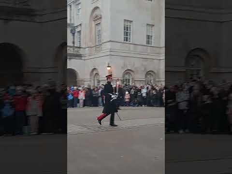 King's horse guards #king #horse #guard #ytshots #london #india @vichethediamonds#