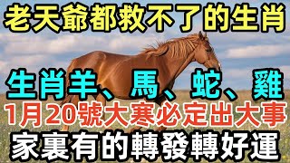 完了完了！老天爺都救不了的4大生肖，生肖羊、馬、蛇、雞，1月20號大寒必定出大事，家裏有的轉發轉好運！