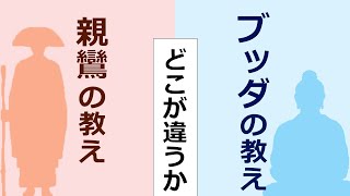 ブッダの教えと親鸞聖人の教えの違いとは