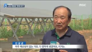 [15/06/27 뉴스데스크] 소형 태양광 발전소 1만 1천여 개 '존폐 위기'