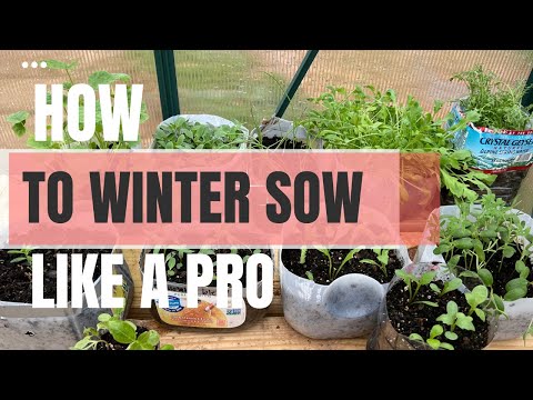 Winter Sowing Tutorial 🌱🌸 A Complete Beginners Guide