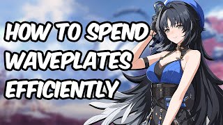 How To Spend Waveplates / Stamina Efficiently: Early Game Tips for Beginners | Wuthering Waves 2.0