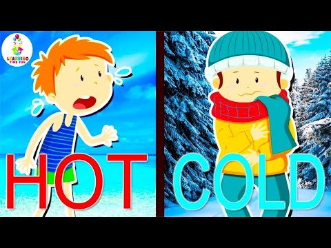 These are the OPPOSITES! (The Opposites Song for KIDS) | Educational Songs for Toddlers