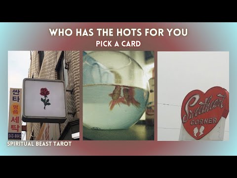 pick a card | who has the hots for you