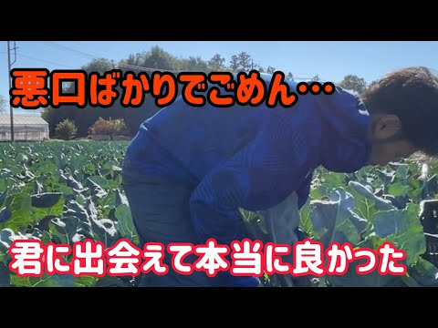 この陽気でいつも通りの11月安値に。だけど最高なブロッコリーに出会えた気がする