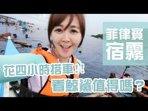 🌴菲律賓宿霧🌴訪問大家看鯨鯊心得...反應出乎我意料!!! Philippines CEBU Oslob Whale sharks Watching｜啾啾愛亂拍