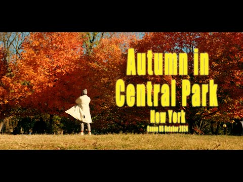 Short travel movie autumn in new york Central Park photography canon R5 秋天的紐約中央 旅遊攝影