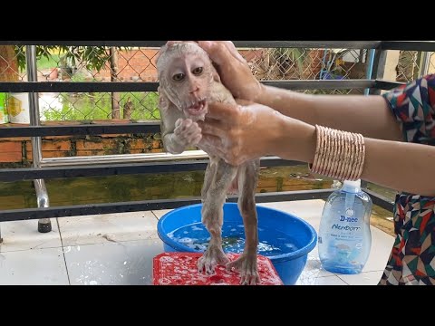 Mom Take A Bath For Adorable Baby Boy Look Is Very Cute