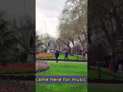 central London whitehall garden #foryou #summervibes #spring #foryoupage