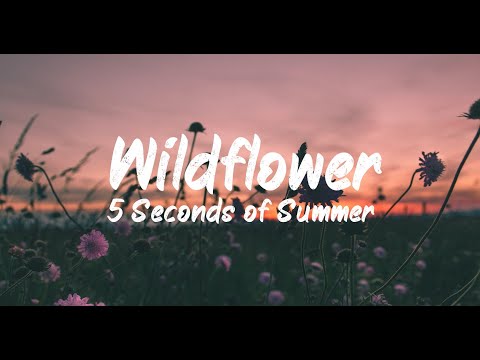 5 Seconds of Summer - Wildflower (Lyrics) | BUGG Lyrics