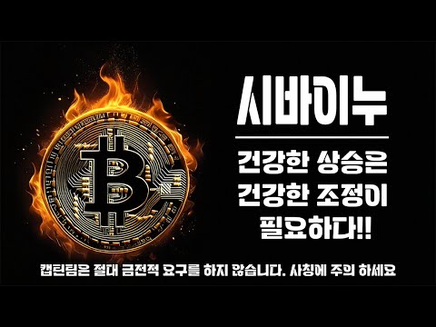 시바이누 코인 전망 ㅣ 지금은 시바이누 장기적인 건강한 조정입니다 현재 좋은타점 확인하고 가세요