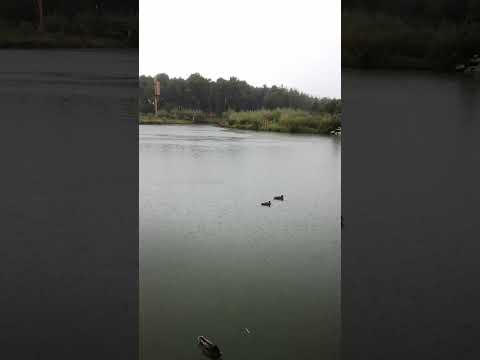 Rain over the lake near Paris