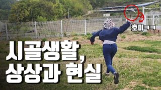 도시 사람의 귀촌 생활, 상상과 현실은 넘나 달랐다