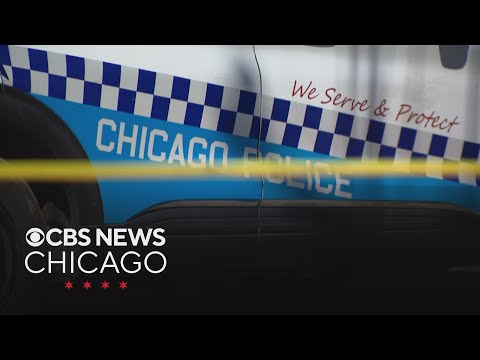 Proposed amendment to allow Chicago police to aid immigration officers | Full Newscasts