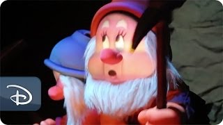 Full 3D Audio-Animatronics in Seven Dwarfs Mine Train | Walt Disney World