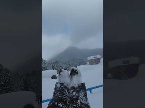 大雪の豊平どんぐり村パウダーパフパフ　スノーぶらんこ(勝手に命名)龍頭山の頂上までとどけえ　20250110