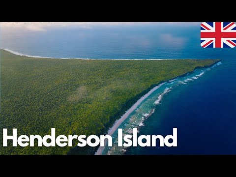 Exploring the Untouched Beauty of Henderson Island