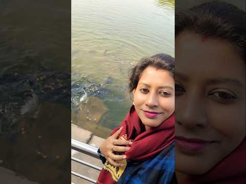 Bhairav Baba Mandir Talab #fish #shortsvideo #instareels #facebookreels #trendysong #homadol #shorts