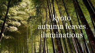 【Kyoto】Kodai-ji Temple  iluminations /Ninenzaka/autumn leaves