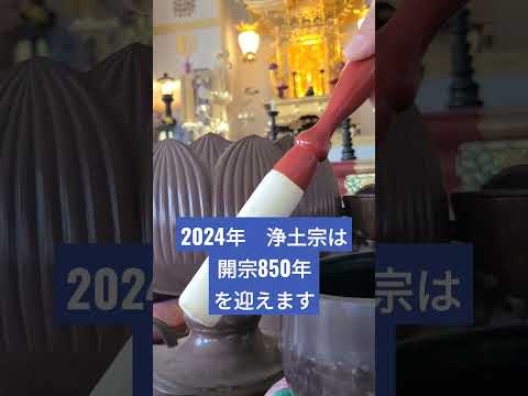 【ハワイ生活】2024年浄土宗は開宗850年を迎えます　＃知恩院へ行こう！#shorts