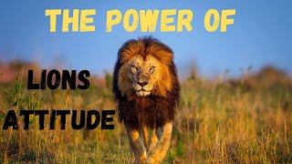 The Power of ATTITUDE | A powerful motivational speech by Psychsparks |Urdu | Hindi |