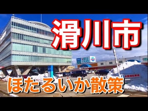 【絶対ホタルイカ！】富山県 滑川市の魅力を探す地方都市散策とカフェ