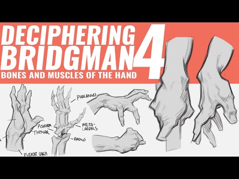 DRAWING THE HAND: DECIPHERING BRIDGMAN PT. 4