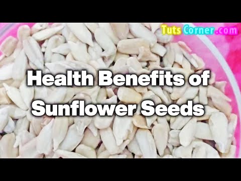 Health Benefits of Sunflower Seeds | Are Sunflower Kernels Good for You? Are Sunflower Seeds Healthy