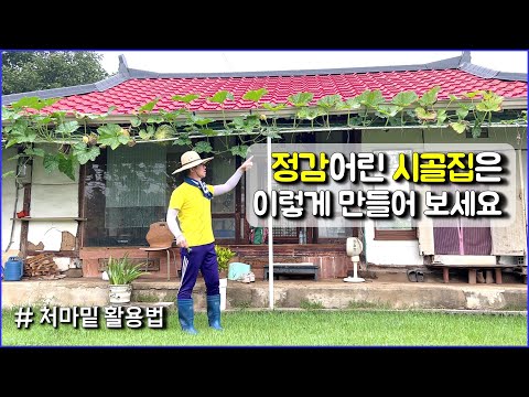 시골집 처마밑은 이렇게 활용해 보세요 / 호박넝쿨, 정감어린 시골집, 시골집 꾸미기 / countryside, pumpkin