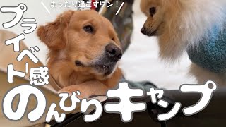 【犬とキャンプ】久しぶりのドックランサイトでのんびりキャンプ　富津金谷オートキャンプヒルズ