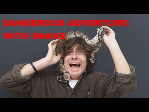 Don't Allow a Snake To Crawl On Your Body Like This/Dangerous Adventure