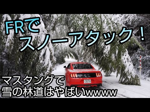 冬の林道にFR車で突撃！マスタングでスノーアタック！？2020年 2021年 石川県 大雪 爆弾低気圧 ford mustang 2015 ecoboost in the snow