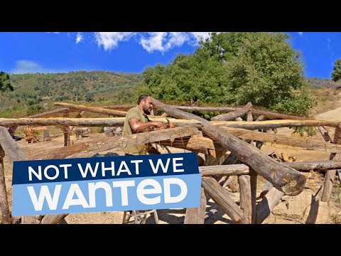 Improvising The Cheapest Possible Roof for Our Outdoor Off Grid Kitchen