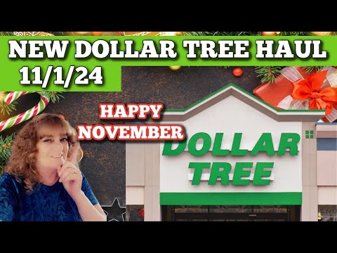 Check Out My Awesome Dollar Tree Finds From 11/1/24!