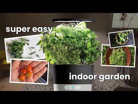 Grow Your Garden The Easy Way: Aerogarden Hydroponic Gardening Kit