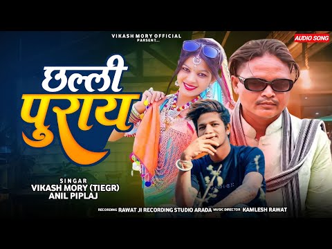 Aadiwasi Song ✨छल्ली पूराय ||Challe puray|| सिंगर अनिल पिपलाज And Vikash mory 🕺