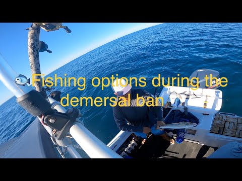 🎣Fishing options during the demersal fishing ban🐟 (Rockingham Western Australia 🇦🇺 )