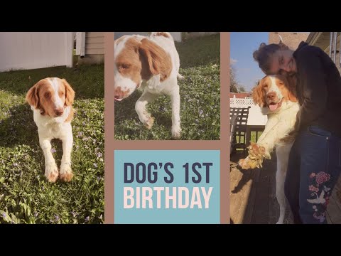 Celebrating Service Dog's 1st Birthday during Quarantine | Winston