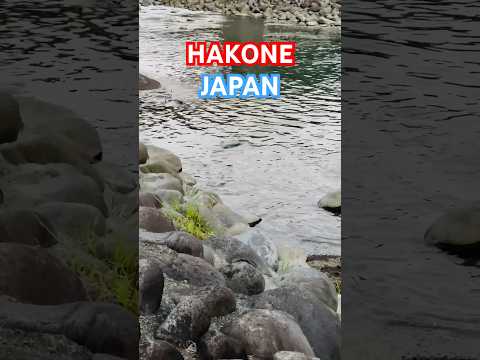 Hakone, Japan. #viralshorts #shorts #japantravel