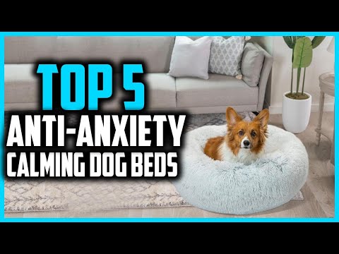 ✅ Top 5 Best Anti Anxiety And Calming Dog Beds in 2025