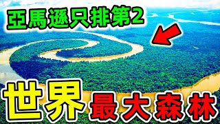 全世界最大的10個森林！亞馬遜只排第2，第一名面積1700萬平方，比台灣更大470倍。|#世界之最top #世界之最 #出類拔萃 #腦洞大開 #top10 #最大森林