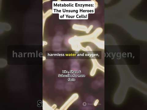 Metabolic Enzymes: The Unsung Heroes of Your Cells! #ytshorts #facts  #metabolicpathways #enzymes