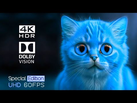 4k HDR 60fps Dolby Vision | Best of 2023