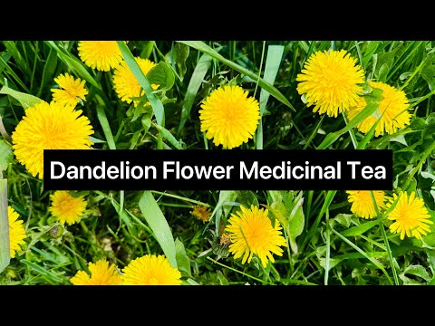 Dandelion Flower Medicinal Tea