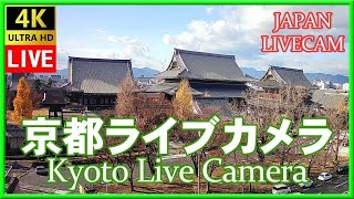 🔴🎥【LIVE】京都ライブカメラ 東本願寺 (KYOTO JAPAN LIVE CAMERA) 森信三郎商舗から生中継 即時影像 livecam　#nhk紅白歌合戦  #Ado #聖地